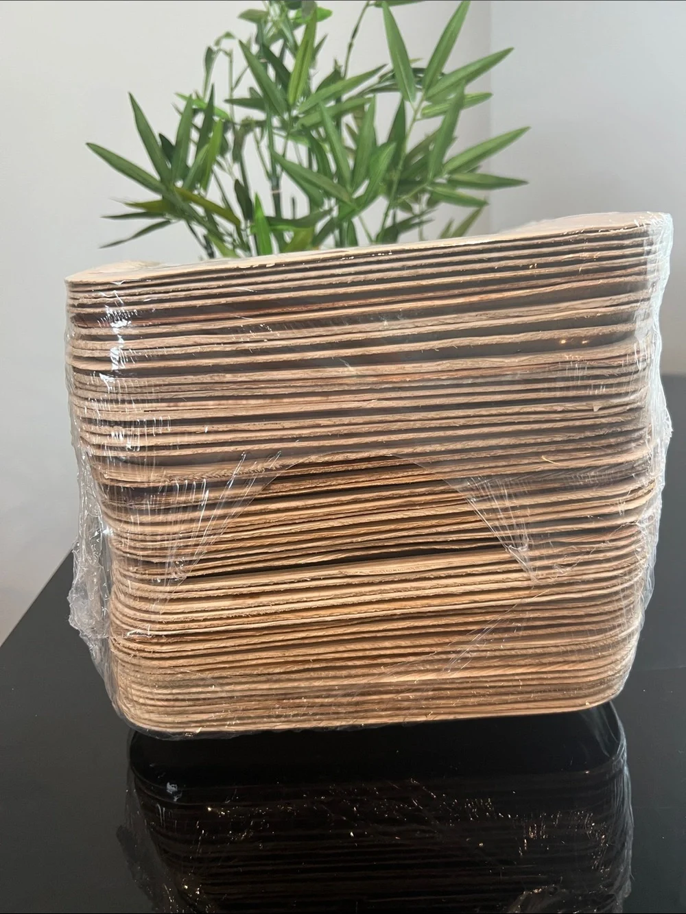 Palm Leaf Plates 50 Count 10x10 Compostable Bridal Shower Party Eco